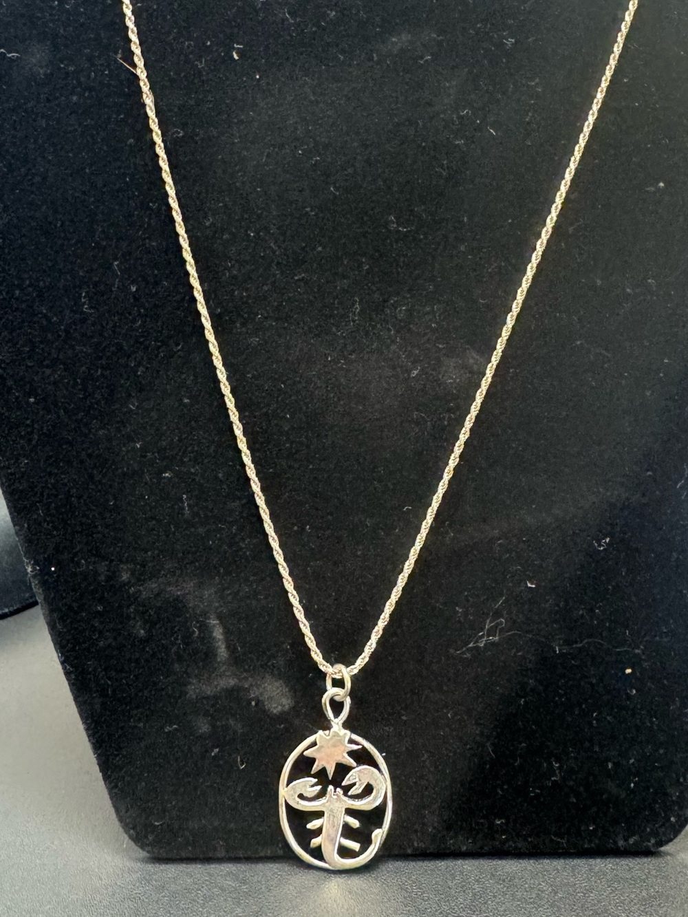 Vintage Sterling Silver necklace with a zodiac scorpion and star pendant